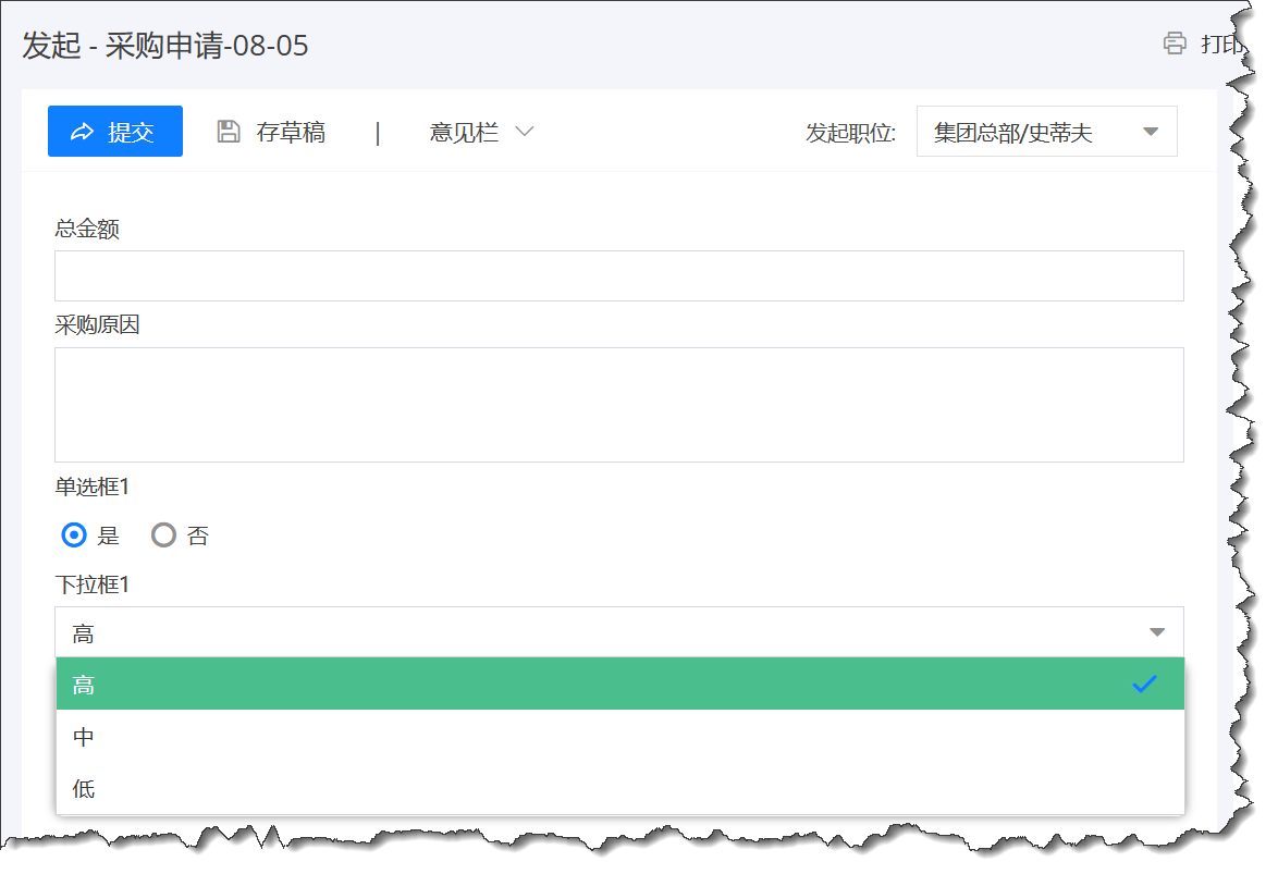 中文用户看到的选项字段名称